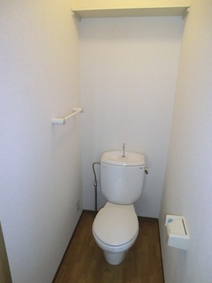 Toilet. It is a Western-style toilet