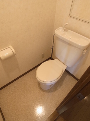 Toilet. It settles down space