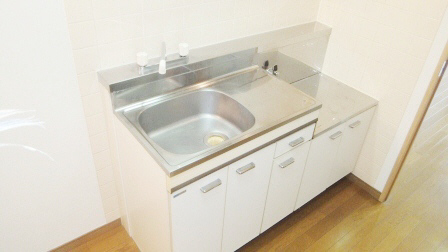 Kitchen. Two-burner stove installation Allowed