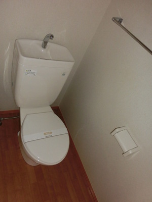 Toilet. Western-style toilet