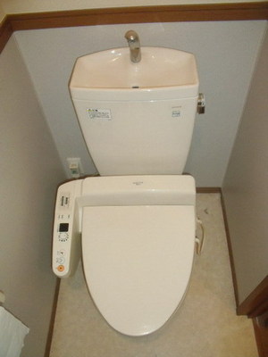 Toilet. Toilet