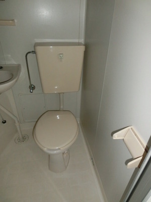 Toilet. Western-style toilet