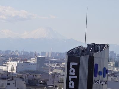 View photos from the dwelling unit. It faces the Mount Fuji and Sky tree