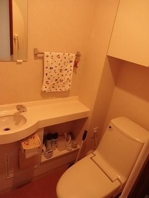 Toilet. Hand wash counter, Mirrors have been installed