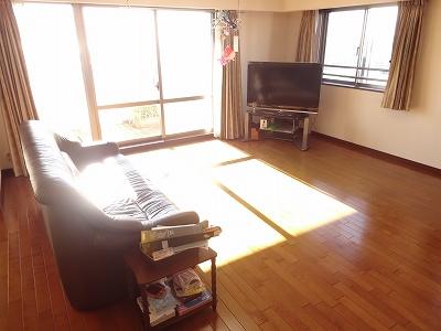 Living. South-facing bright living!