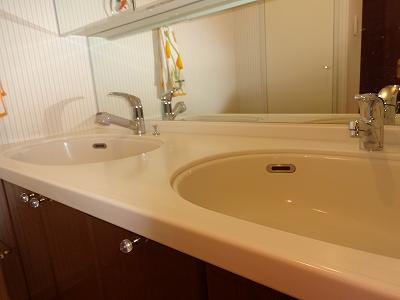 Wash basin, toilet. 2 bowl washbasin, Shower is also there comfortable, even a busy morning