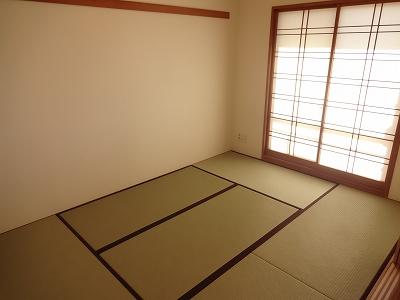 Non-living room. There closet