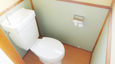 Toilet. Western-style toilet