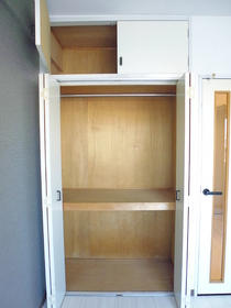 Other. There is a happy storage space on top of the closet.