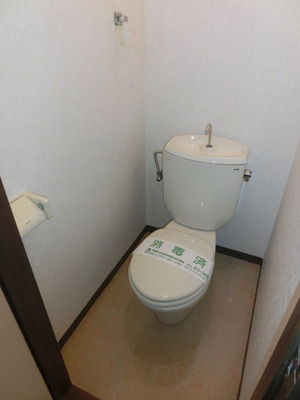 Toilet. Toilet