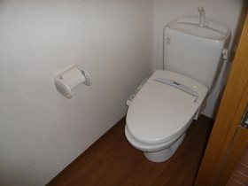 Toilet. WC