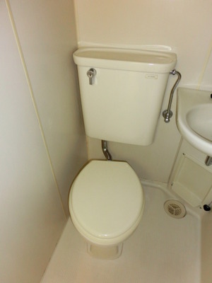 Toilet. Toilet