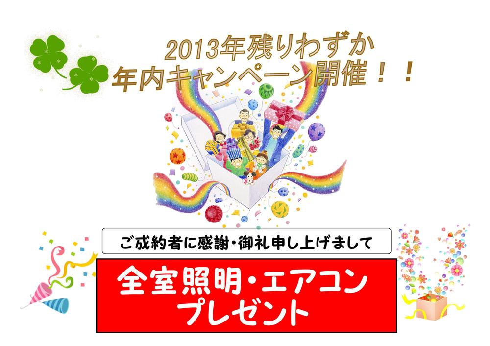 Other. 2013 year campaign