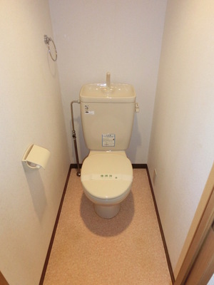 Toilet. Toilet