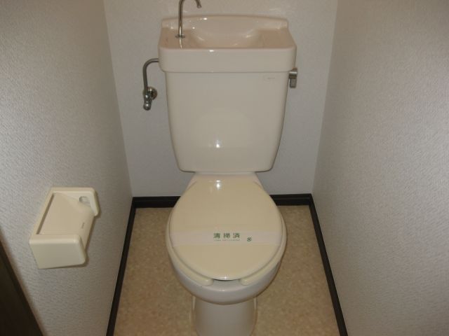 Toilet. Western-style toilet.