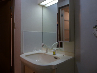 Washroom. Shampoo dresser