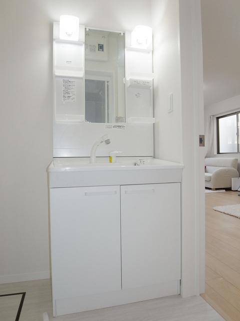 Wash basin, toilet. Vanity shower