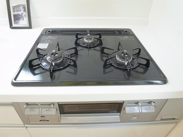 Other introspection. 3-neck gas stove