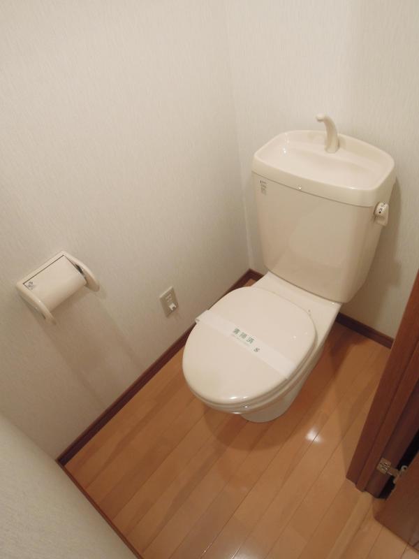 Toilet. It is a toilet with a clean.