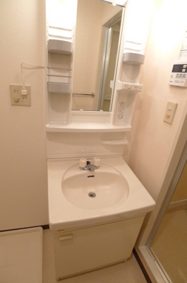 Washroom. Bathroom vanity