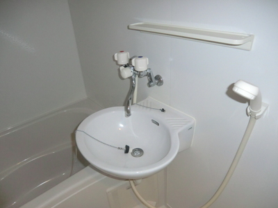 Washroom. Wash basin is located in the bathroom