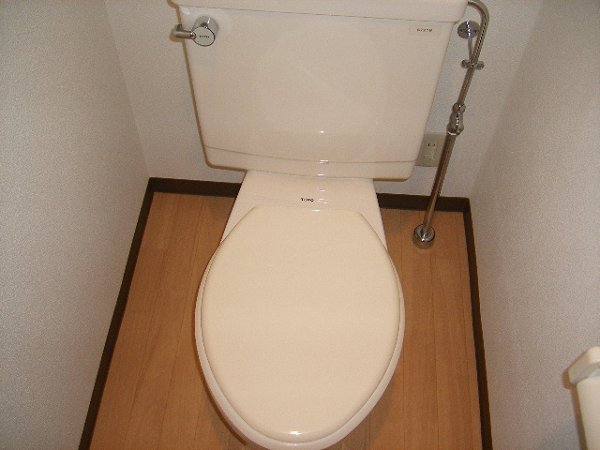 Toilet. Toilet