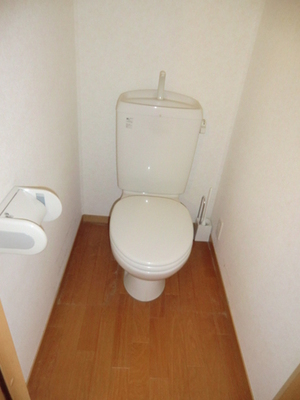 Toilet. It is a western style of your toilet