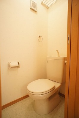 Toilet. This is useful because it comes with a shelf above. 