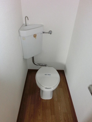 Toilet. Toilet