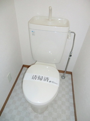 Toilet. It is a beautiful toilet