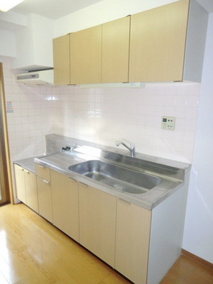 Kitchen. Two-burner gas stove can be installed