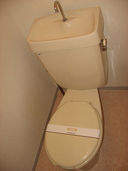 Toilet. Toilet