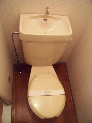 Toilet. Western-style toilet