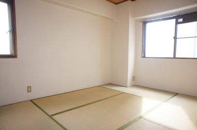 Other room space. Bright Japanese-style room of the two-sided lighting.