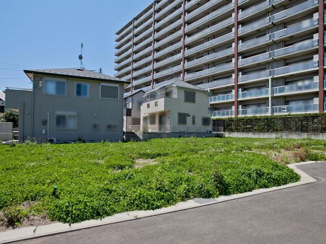 Local appearance photo. Peripheral