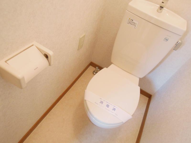 Toilet. It is a toilet with a clean.