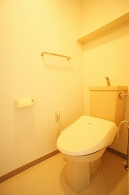 Toilet. It is with a shelf on top with warm water washing toilet seat.