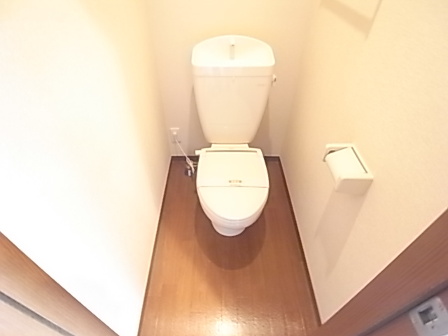 Toilet. It is your toilet.