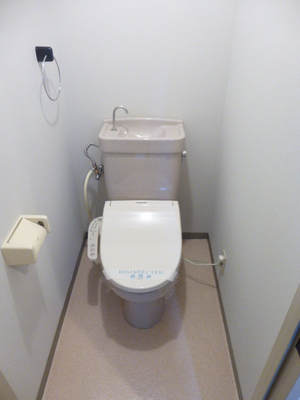 Toilet. Bidet function with toilet