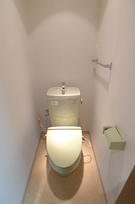 Toilet. Toilet (heating toilet seat)