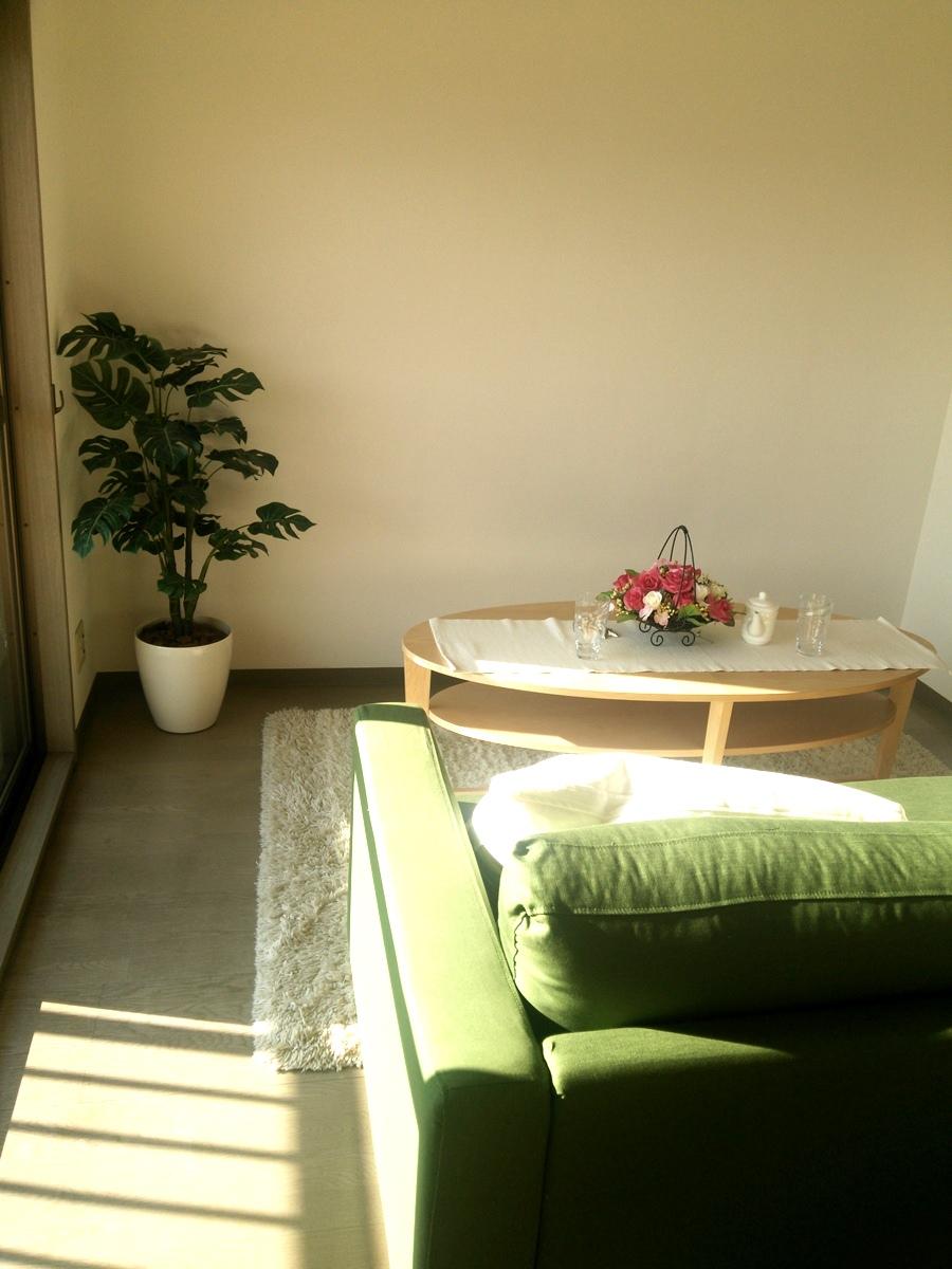 Living. Indoor (12 May 2013) Shooting