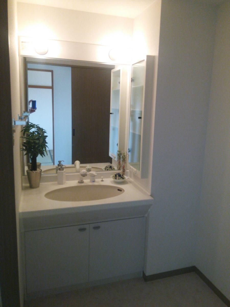 Wash basin, toilet. Indoor (12 May 2013) Shooting