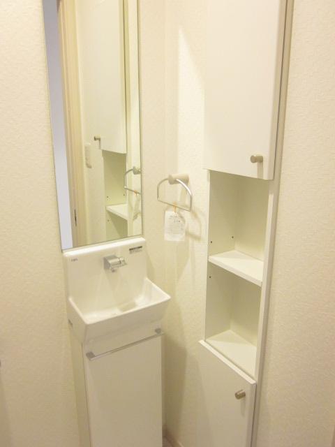 Toilet. Basin space of the toilet.