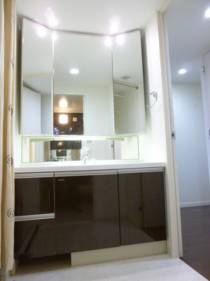 Washroom. Three-sided mirror back with storage shampoo dresser