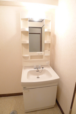 Washroom. Bathroom vanity