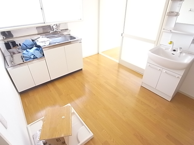 Entrance. Washbasin and kitchen.