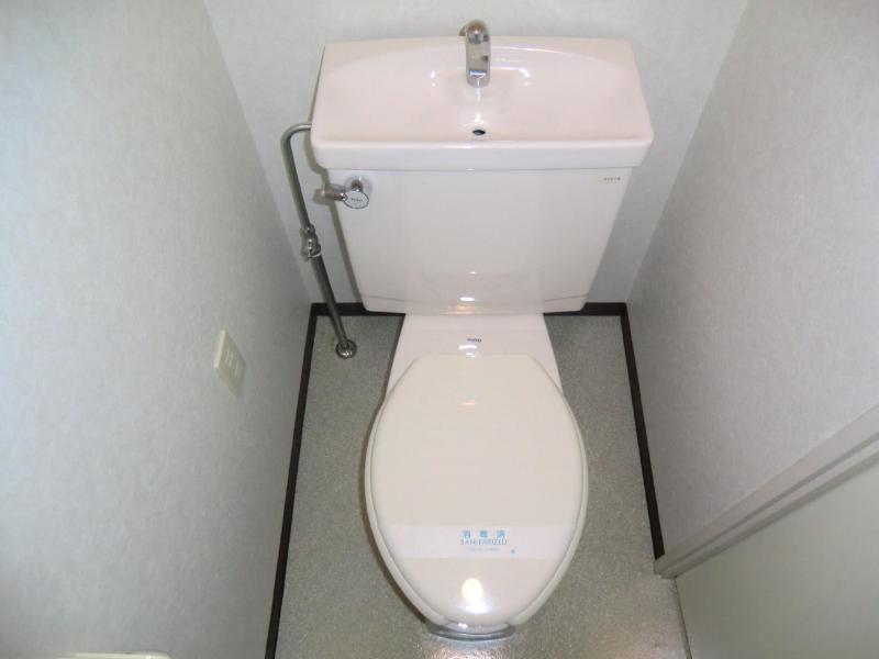 Toilet