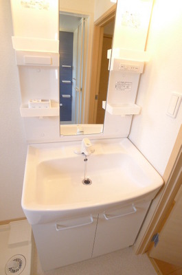 Washroom. Bathroom vanity