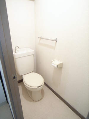 Toilet. Restroom also has renovation to clean!