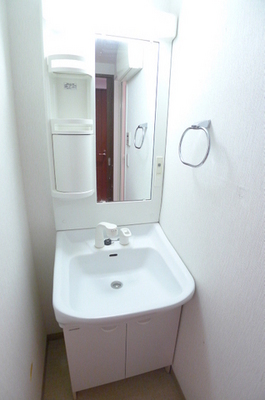 Washroom. Shampoo wash basin